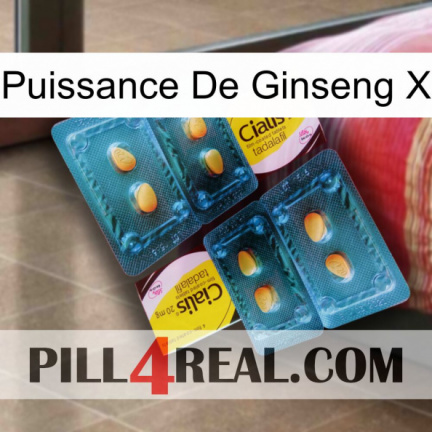 Ginseng Power X cialis5